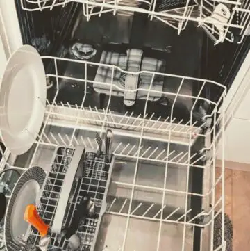 How To Clean Moldy Dishwasher