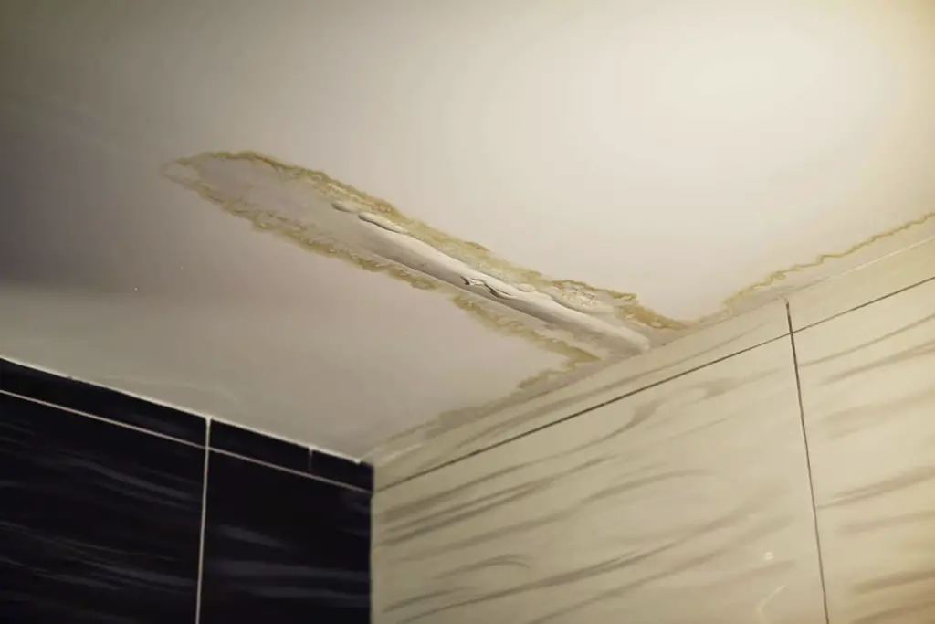 Moisture cracks - Types Of Ceiling Cracks With Pictures
